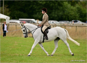 TOP CLASS ALLROUNDER/ GRASSROOTS EVENTING/ SHOWING/ LADIES HUNTER
