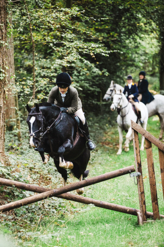 12.2hh fun hunting / allrounder / PC