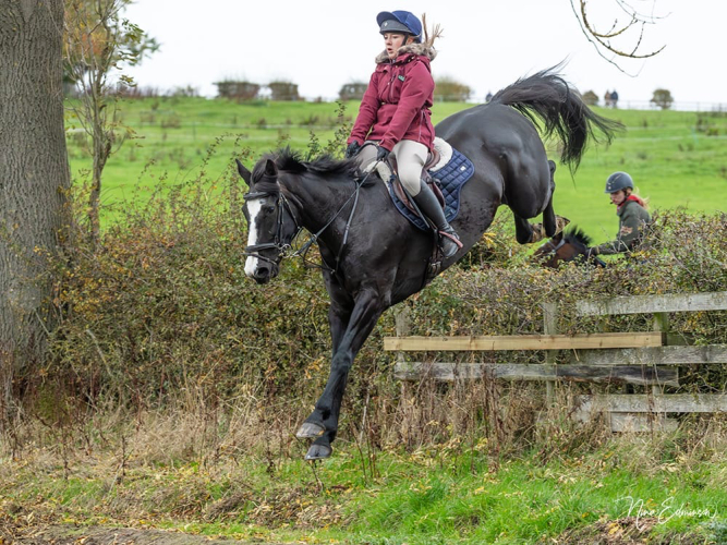 Experience hunter/fun horse