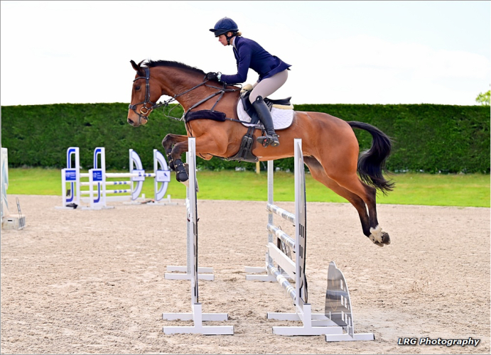 Serious Event Prospect – Bred For The Top, Built To Perform
