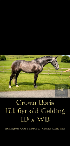 Striking Eventing Prospect