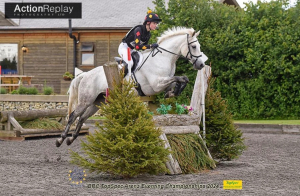 Fun Allround & competition pony 