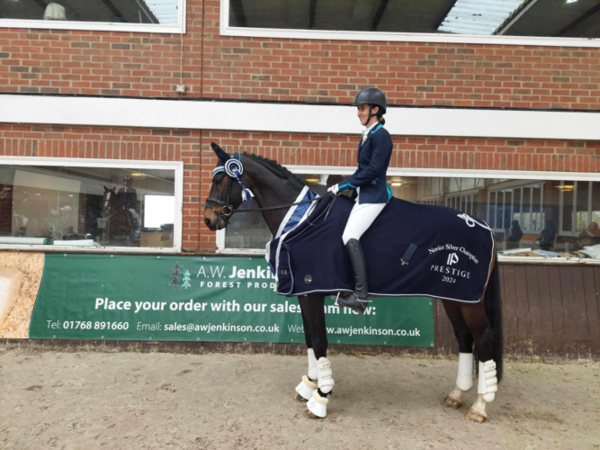 Stunning Sportshorse , Super Allrounder , Genuine & Honest.