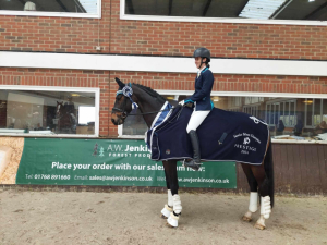 Stunning Sportshorse , Super Allrounder , Genuine & Honest.