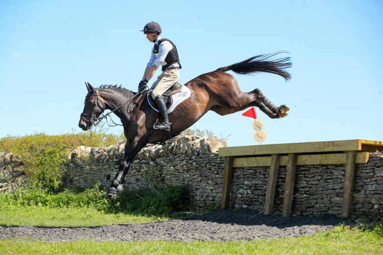 16.2HH 10YO GELDING BY DIAMANT DE SEMILLY – GENUINE, STRAIGHTFORWARD ALLROUNDER