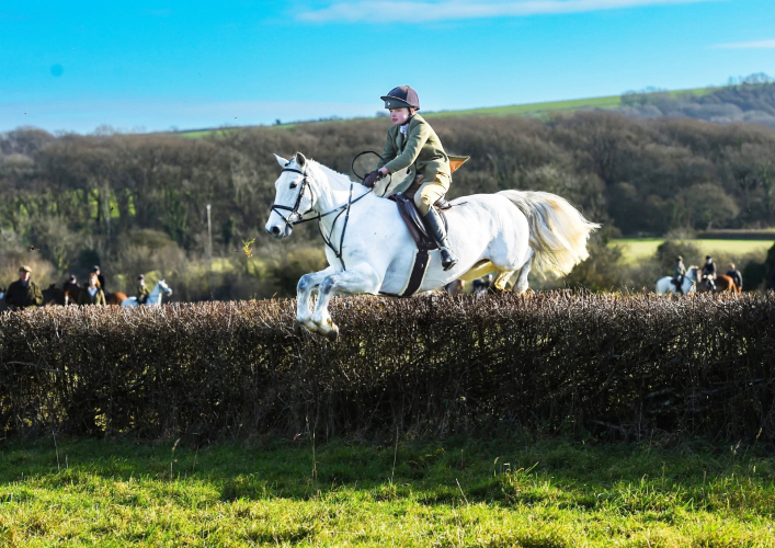 Fabulous Hunting / Pony Club Pony