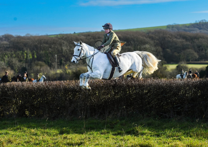 Fabulous Hunting / Pony Club Pony