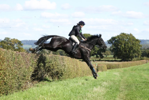 EX NATIONAL HUNT HORSE - Thank you all so much for your many, many phone calls, I've removed my contact details whilst I work through them