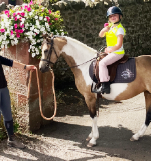 Quality Coloured Mare 
