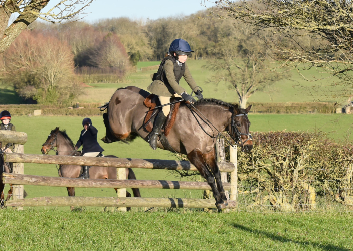 Brilliant PC all-rounder, hunting, racing, does it all!