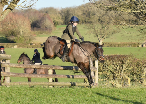 Brilliant PC all-rounder, hunting, racing, does it all!