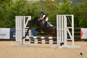 Brilliant fun pony club all-rounder
