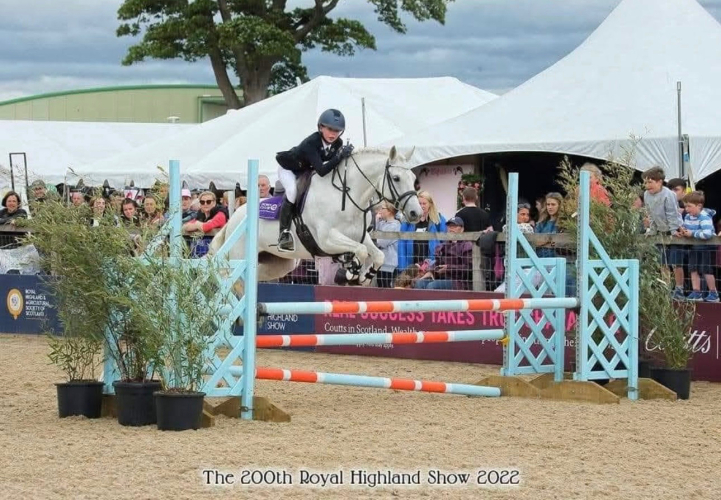 Ultimate All-Rounder Mare Seeking Her Next Best Friend