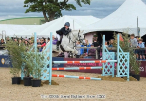 Ultimate All-Rounder Mare Seeking Her Next Best Friend