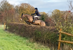 Small Hunter/Allrounder 