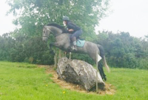 Potential Eventer/All rounder 