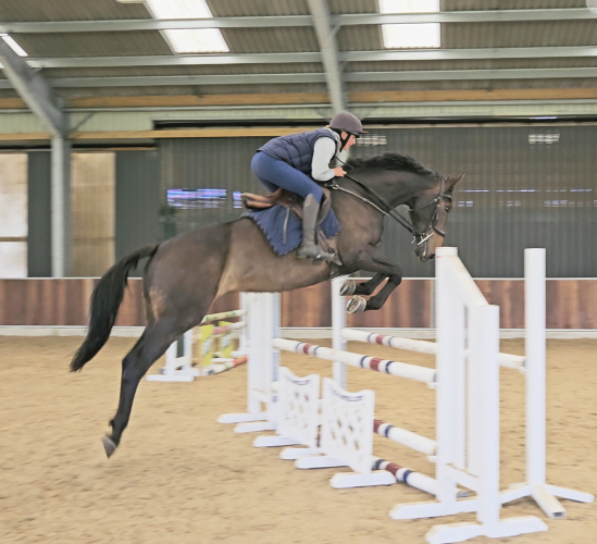 Quality Event / Hunt / Allrounder