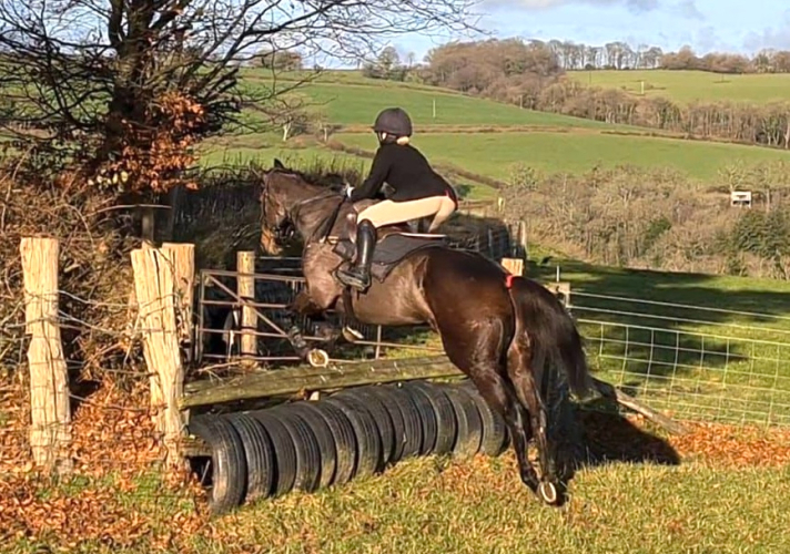 Fun Mare for Jumping, Trail Hunting & Fun Rides