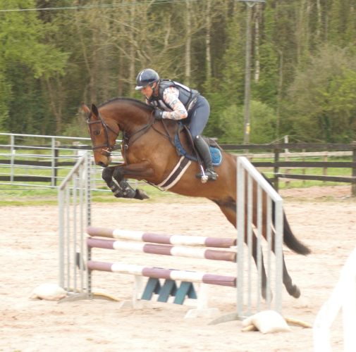 Stunning ISH ex Connemara 5yr old gelding