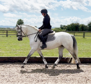Connemara HOYS/Allrounder prospect.