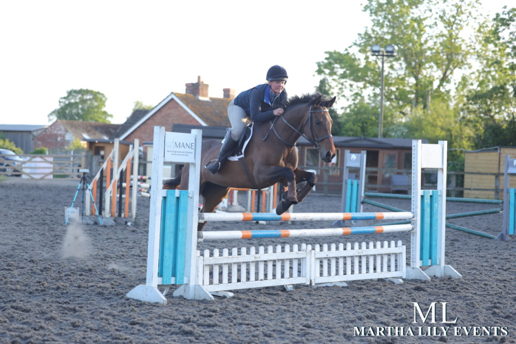 Lovely young homebred