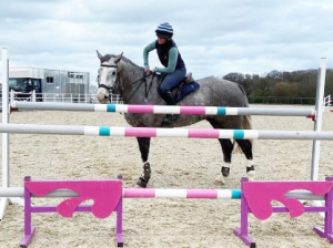 Unbelievably talented Amateur’s horse 