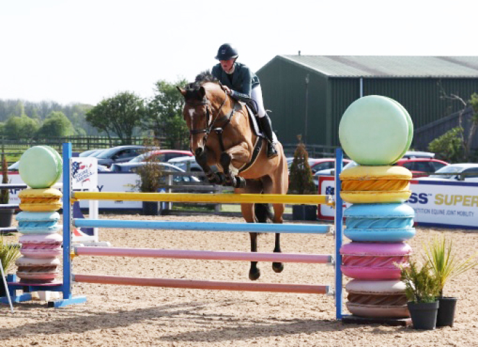 Perfect Schoolmaster / Hunter / Bronze League Superstar / Event / Allrounder