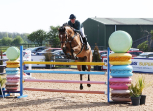 Perfect Schoolmaster / Hunter / Bronze League Superstar / Event / Allrounder