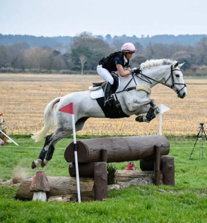 Perfect Grassroots/PC/RC mare