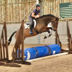 6yo 16hh Riding Club Allrounder / Hunter / Happy Hack