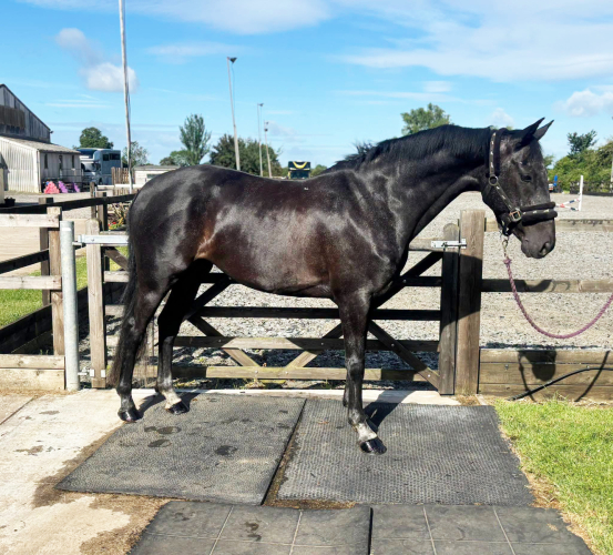 SMART GRASSROOTS EVENT / PC / RC / MOTHER DAUGHTER SHARE / ALLROUNDER