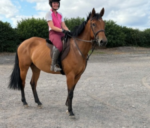 Smart, Compact Ramiro B mare For Sale