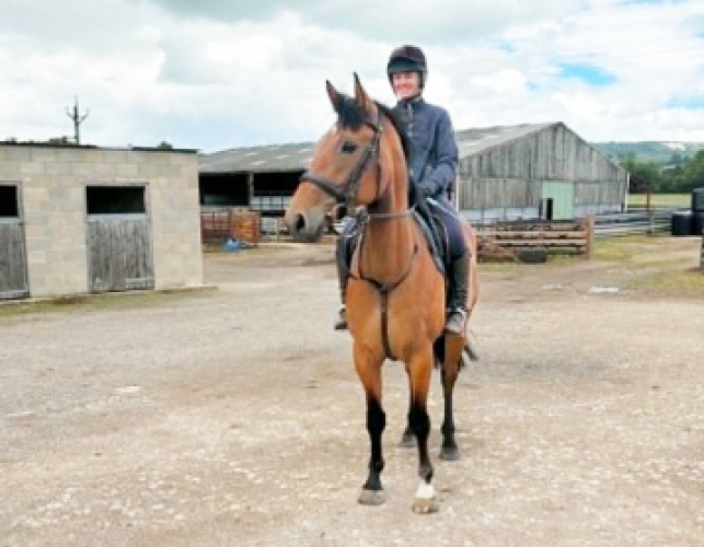 Smart, Compact Ramiro B mare For Sale