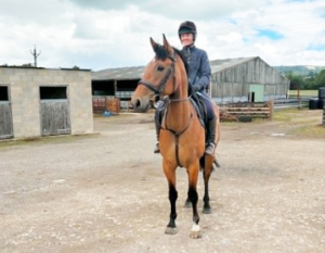 Smart, Compact Ramiro B mare For Sale