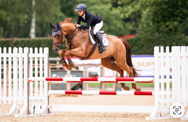 TOP CLASS SHOWJUMP / EVENT