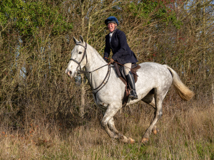 17.1 8yo proven hunter