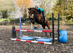 Quality 5yr Old ISH Potential Eventer