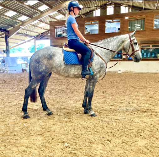 Super Irish Mare