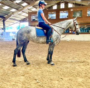 Super Irish Mare