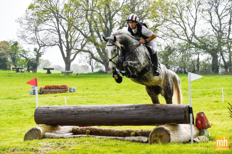 Event/Hunt/jump/Dressage