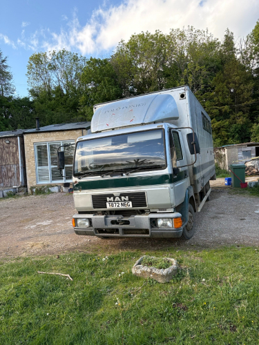 horse box for sale