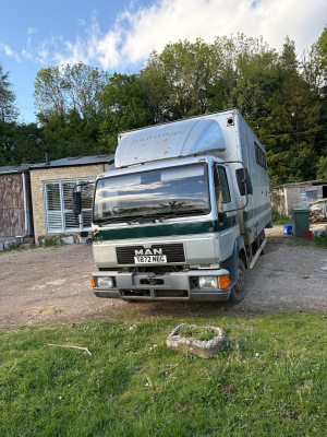 horse box for sale