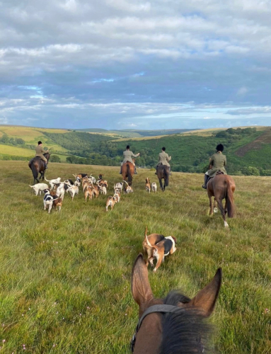 Second groom for the Devon and Somerset Staghounds
