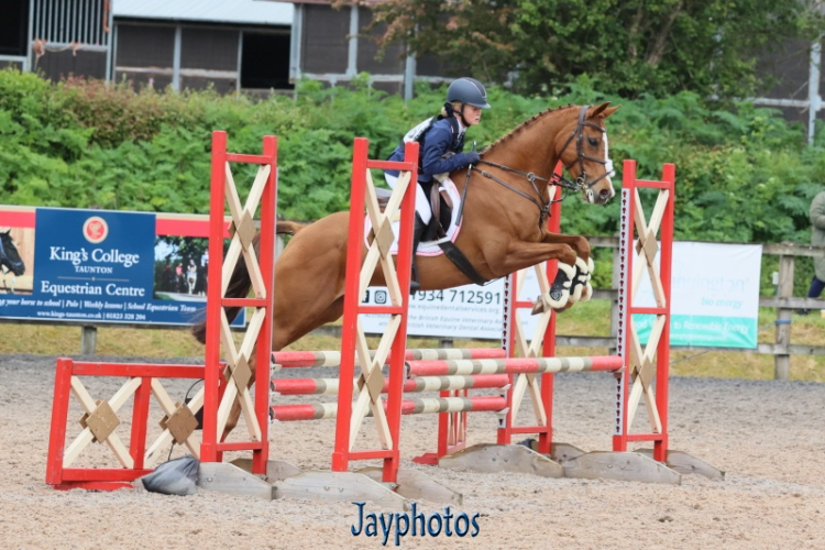 14.2hh smart all rounder. PC/event/Tet/dress