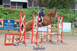 14.2hh smart all rounder. PC/event/Tet/dress