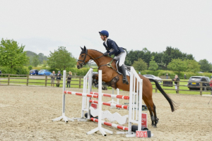 Stunning Grassroots horse with scope to progress up the levels