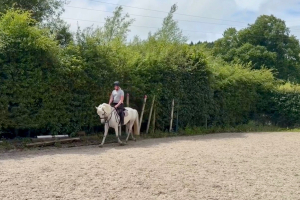 Quality Connemara Pony