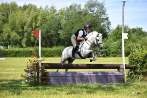 Quality Connemara Pony