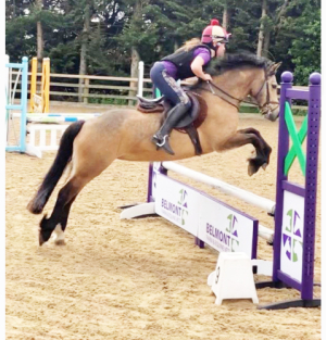 SUPER SMART TOP CLASS WORKING HUNTER/EVENT PONY