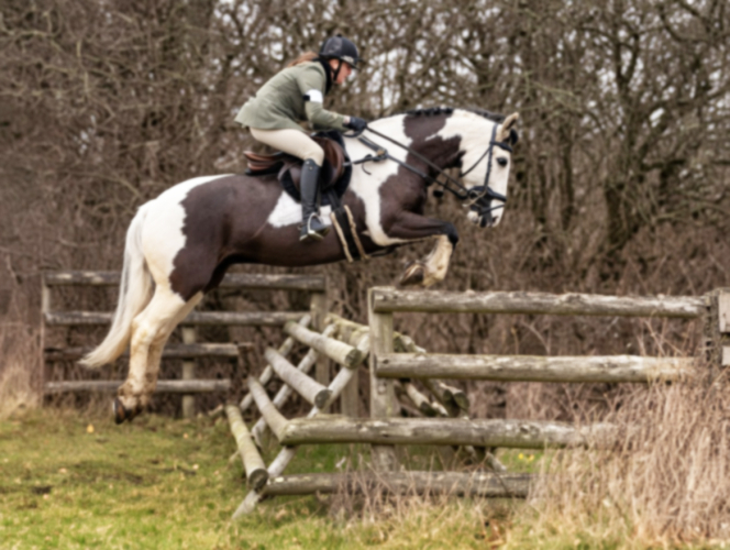 The ULTIMATE confidence giving family hunter